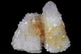 Cactus Quartz (Amethyst) Crystal Cluster - South Africa #132488-1